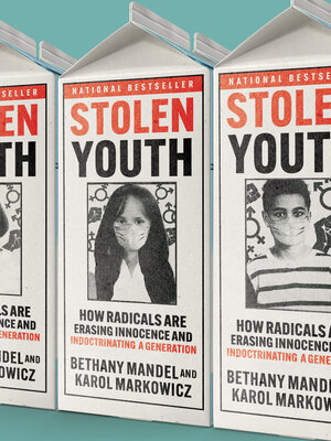 cover image of Stolen Youth